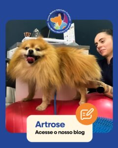 ARTROSE E A DIFICULDADE DE LOCOMOÇÃO E DOR EM PETS