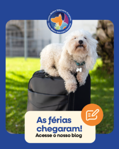 AS FÉRIAS CHEGARAM