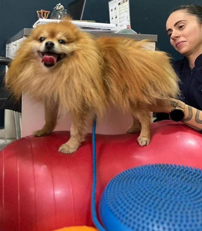 CMVC_banners_home_depoimento_2