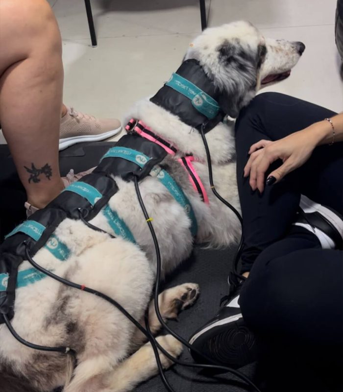 CMVC_banners_home_depoimento_3