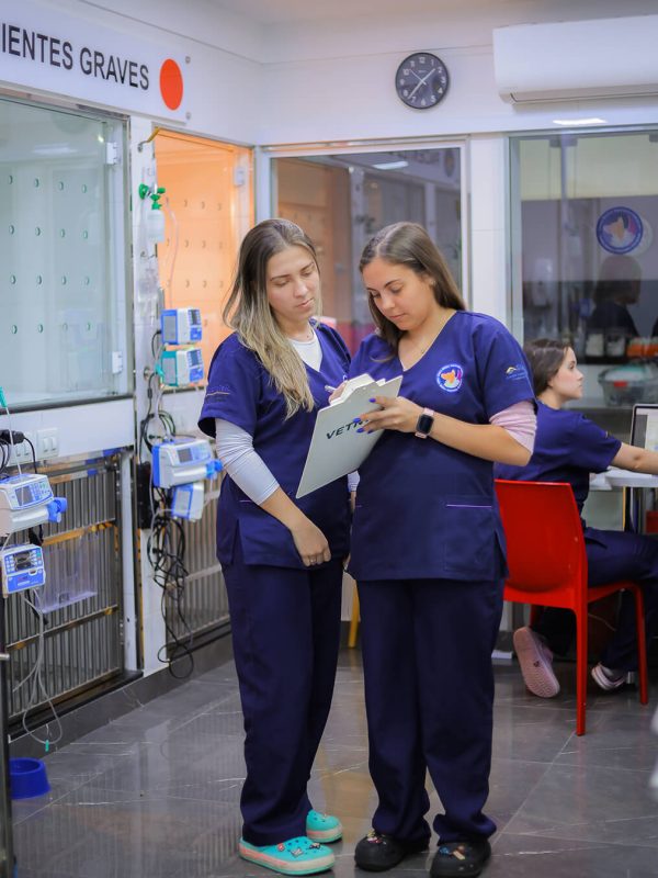 CMVC_banners_home_interna-1