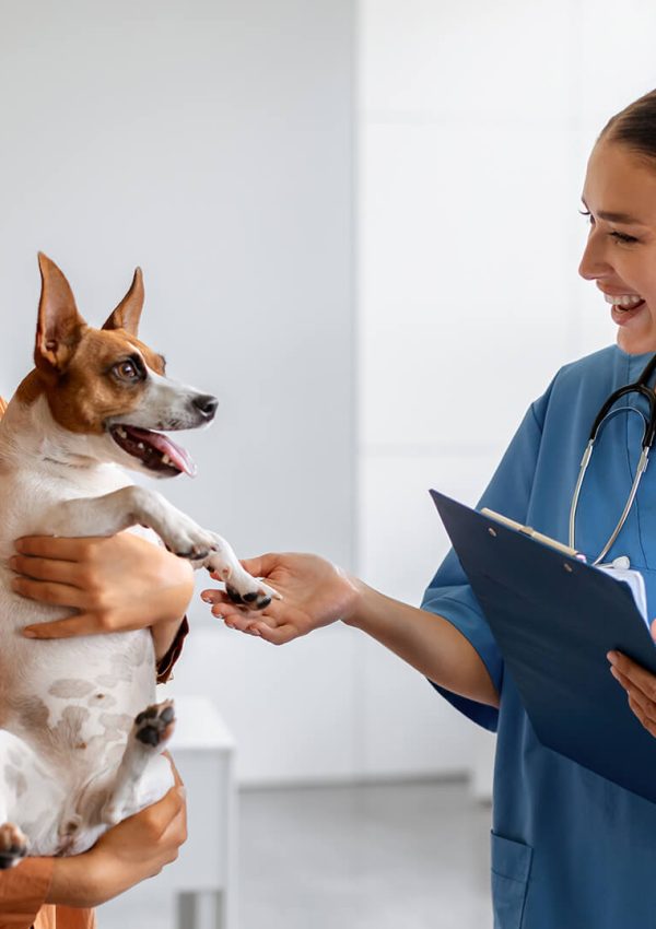 CMVC_banners_home_pq